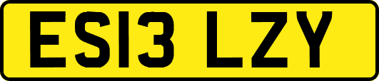 ES13LZY