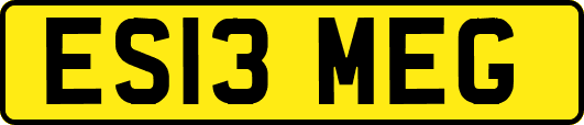 ES13MEG