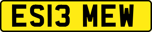 ES13MEW