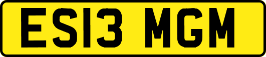 ES13MGM
