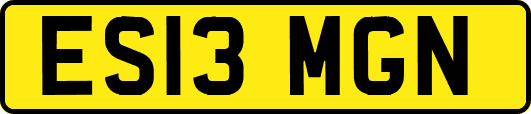 ES13MGN