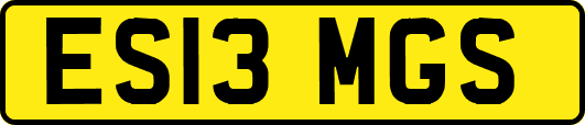 ES13MGS
