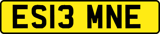 ES13MNE