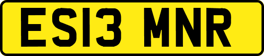 ES13MNR