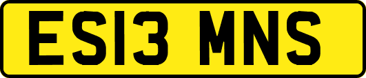 ES13MNS