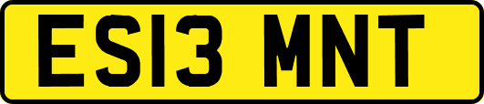 ES13MNT