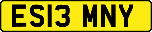 ES13MNY
