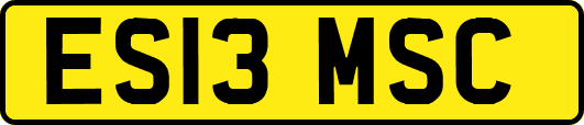 ES13MSC