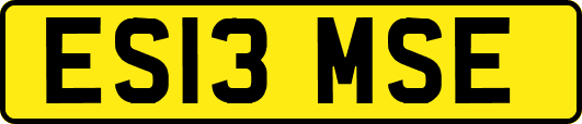 ES13MSE