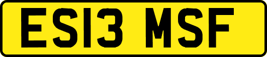 ES13MSF