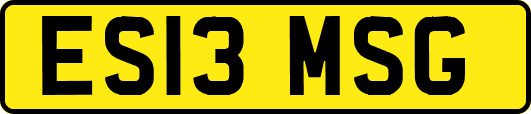 ES13MSG
