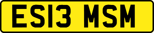 ES13MSM
