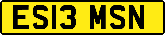 ES13MSN