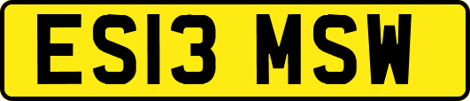 ES13MSW