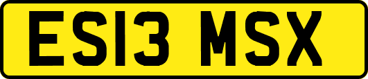 ES13MSX