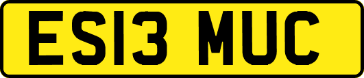 ES13MUC