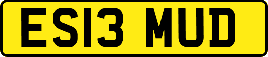 ES13MUD
