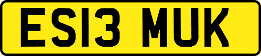ES13MUK
