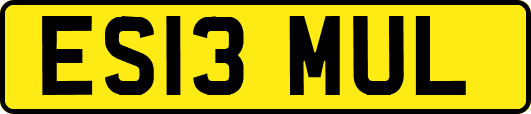 ES13MUL