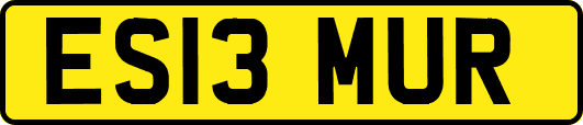 ES13MUR