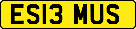 ES13MUS