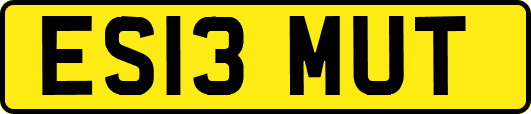 ES13MUT