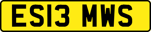 ES13MWS