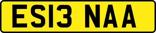 ES13NAA