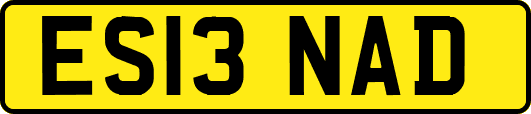 ES13NAD