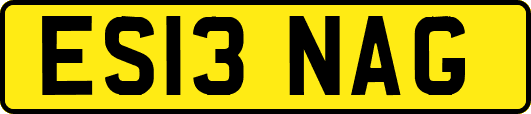 ES13NAG