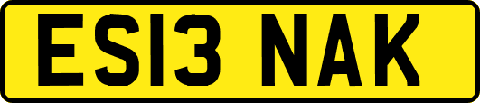 ES13NAK