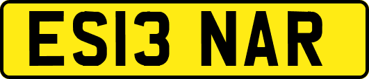 ES13NAR
