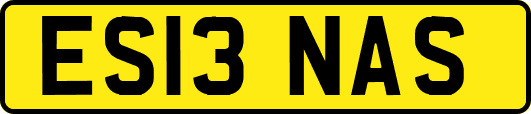 ES13NAS