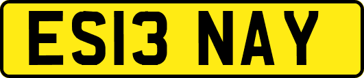 ES13NAY