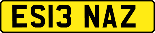 ES13NAZ