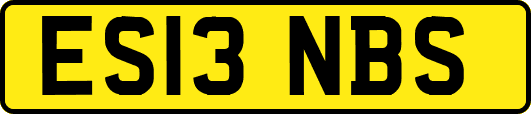 ES13NBS