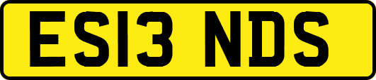 ES13NDS