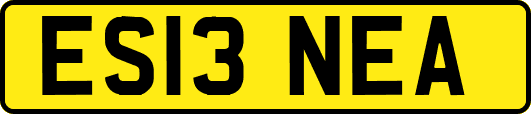 ES13NEA
