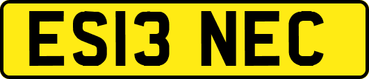 ES13NEC