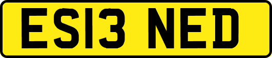 ES13NED