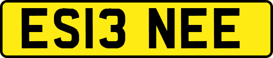 ES13NEE