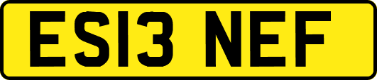 ES13NEF