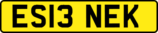 ES13NEK