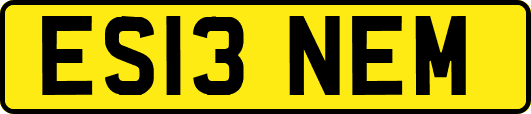 ES13NEM
