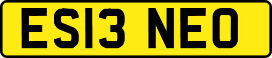 ES13NEO