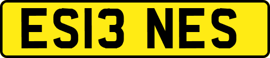 ES13NES