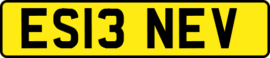 ES13NEV