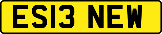 ES13NEW