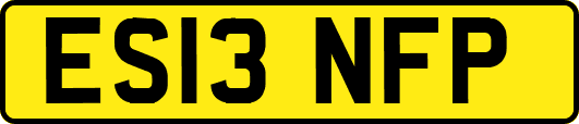 ES13NFP