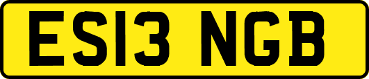 ES13NGB